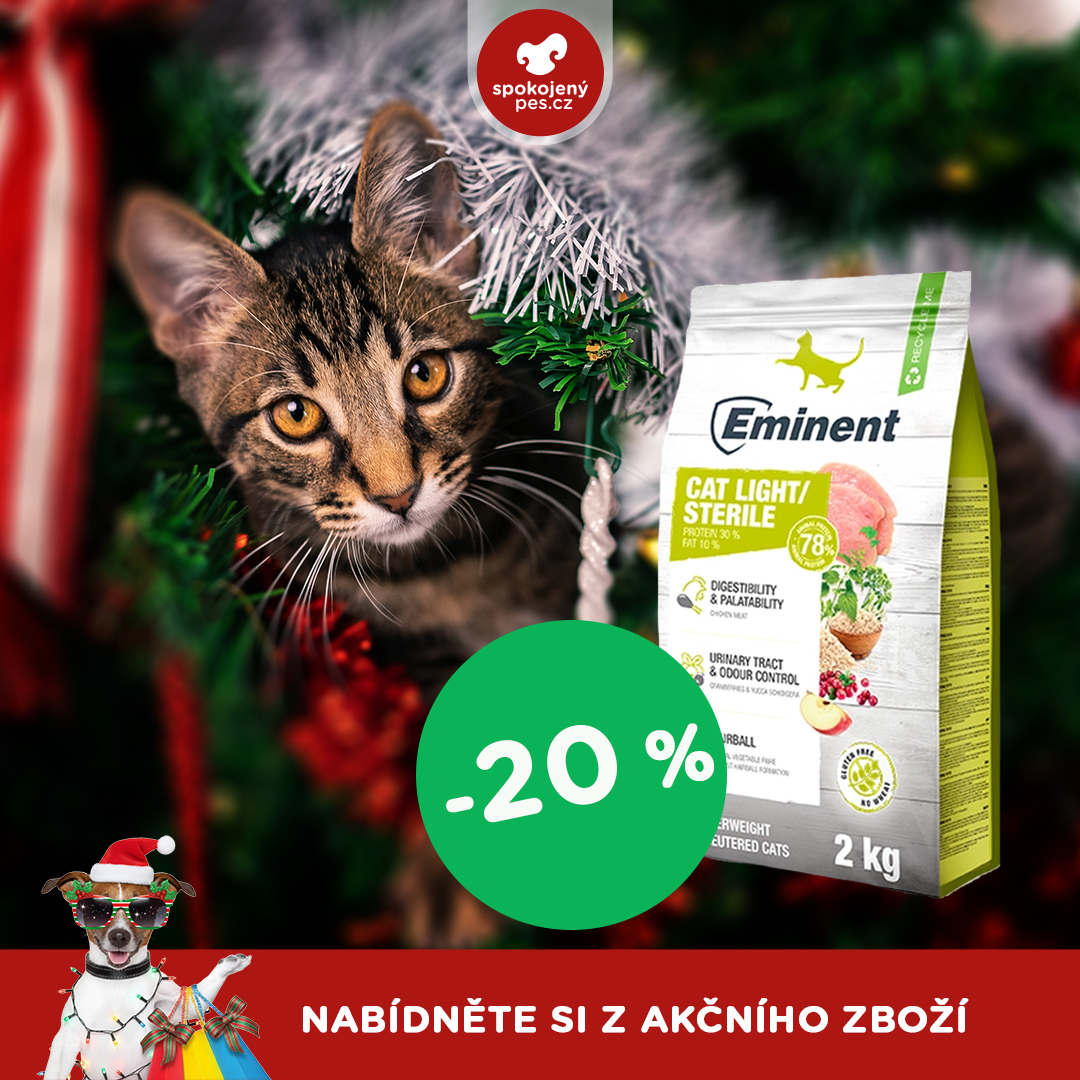 akční prosinec_kočka4.png